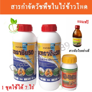 จีโอ-โปร ฆ่าหญ้าในไร่ข้าวโพด จีโปร​ ฉีดทับข้าวโพดได้เลย ​ 1​ ชุด ​ใช้ได้ 7​ ไร่  สารกำจัดวัชพืชในไร่ข้าวโพด คลีโอโปร