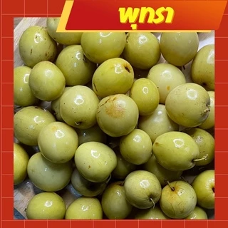 ผลไม้ดอง พุทรา ขนาด 500 กรัม กรอบอร่อย แถมฟรีพริกเกลือ
