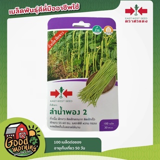 SORNDAENG 🇹🇭 ผักซอง ศรแดง S032#ถั่วฝักยาว ลำน้ำพอง เมล็ดพันธุ์ เมล็ดพันธุ์ลูกผสม เมล็ดพันธุ์ผัก ผักสวนครัว ตราศรแดง