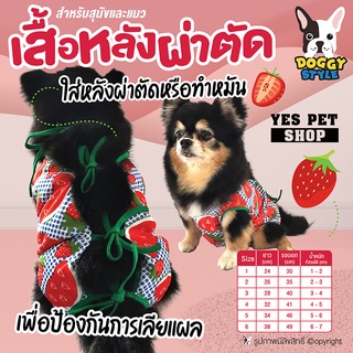 DOGGY STYLE เสื้อหลังผ่าตัดสำหรับสัตว์เลี้ยง เสื้อหลังผ่าตัด (ลาย Strawberry แบบตัวเลือก) เสื้อหลังผ่าตัดสำหรับสุนัข เสื้อหลังผ่าตัดสำหรับแมว