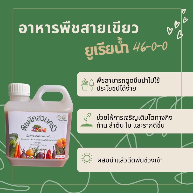 🌱พร้อมส่ง ส่งไวมาก ราคาถูก🌱 ยูเรียน้ำ 46-0-0 สูตรเข้มข้น ปุ๋ยน้ำชีวภาพ ไนโตรเจนสูง ส่งเสริมการเจริญเ