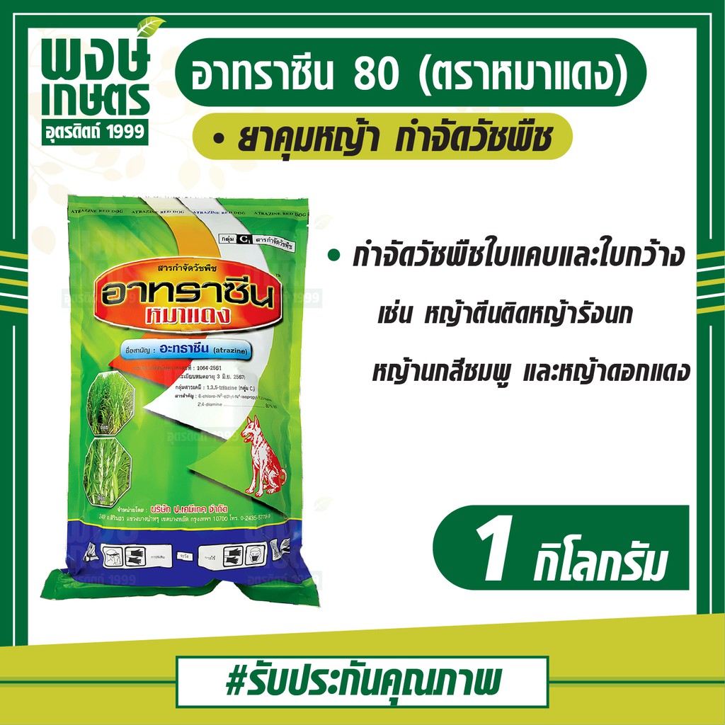 อาทราซีน 80 ตราหมาแดง (Atrazine 80 WP) 1 กิโลกรัม ยาคุมหญ้า สารกำจัดวัชพืช กำจัด ศัตรูพืช พงษ์เกษตรอุตรดิตถ์