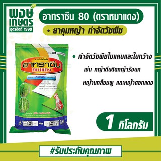 อาทราซีน 80 ตราหมาแดง (Atrazine 80 WP) 1 กิโลกรัม ยาคุมหญ้า สารกำจัดวัชพืช กำจัด ศัตรูพืช  พงษ์เกษตรอุตรดิตถ์