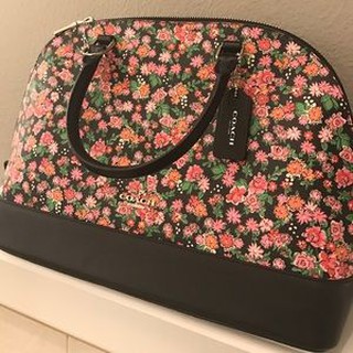 COACHแท้ชนshop F57621 Mini Sierra Dome Satchel Posey Cluster Floral Coated Canvas