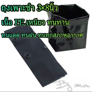 ถุงเพาะชำ 3×8 นิ้ว หมวดหน้ากว้าง 3นิ้ว   ปริมาณสุทธิขนาด 500g. ,1Kg.