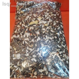 ☸❍✣Parrot Aอาหารนกแก้ว สูตรธัญพืช Beyers Thailand Parrot Seed Mix Bird 1kg