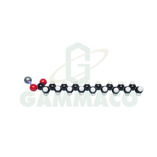 แบบจำลองโมเลกุล Soap (1 Molecule) [30MKS113]