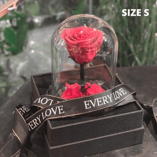 Preserved Rose (Size S) กุหลาบในโหลแก้ว (สูง 17 cm) ดอกกุหลาบอมตะ ดอกกุหลาบ ของขวัญวันวาเลนไทน์ ของขวัญให้แฟน