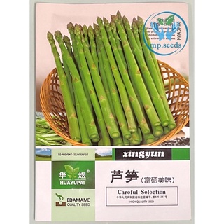 เมล็ด หน่อไม้ฝรั่ง OP ( Asparagus ) 1.5 กรัม (ประมาณ 70 เมล็ด)