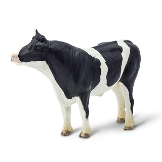 Safari Ltd. : SFR246929 โมเดลสัตว์ Holstein Bull