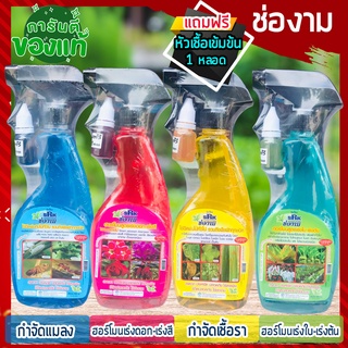 🔥ถูกทีสุด🔥 ช่องาม สเปรย์ ชีวภาพ 500 ml แถมฟรี🥭หัวเชื้อ สำหรับพืชทุกชนิด เร่งต้น-ใบ เร่งดอก กำจัดเชื้อรา แมลง ศัตรูพืช