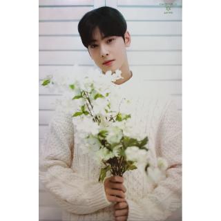 Astro : Cha Eun Woo, โปสเตอร์วงดนตรีเกาหลี K-pop