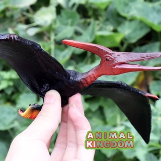 Animal Kingdom - โมเดลไดโนเสาร์ Pterosaurus ดำ ขนาด 32.50 CM (จากหาดใหญ่)