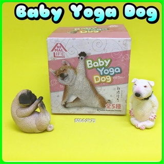 Animal Life Baby Yoga Dog๏เซ็ต2ตัว-พร้อมส่ง๏