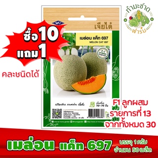 (ซื้อ10แถม1) เมล็ดพันธุ์ เมล่อน แค็ท 697 Melon cat 697 ประมาณ 50เมล็ด เจียไต๋ เมล็ดพันธุ์พืช เมล็ดพันธุ์ผัก เมล็ดผัก