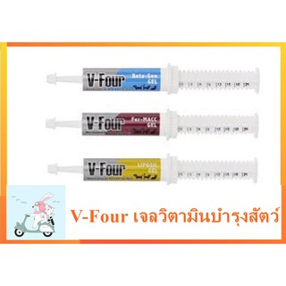 V-Four Gel อาหารเสริมวิตามิน สำหรับสุนัขและแมวทุกวัย มีครบทุกสี