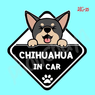 สติ๊กเกอร์ติดรถยนต์ DIC15 สติ๊กเกอร์ ติดรถ Chihuahua Dog In Car สติ๊กเกอร์ติดรถ แต่งรถ car sticker