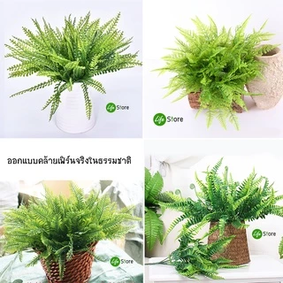 ช่อเฟิร์นหลากชนิด ต้นไม้ประดิษฐ์ สวยงามเสมือนจริง (พร้อมส่งในไทย ถึงเร็วทันใจ)