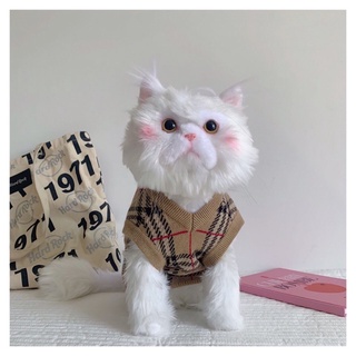 🐶🐱Burberry Knitt Vest🐱🐶