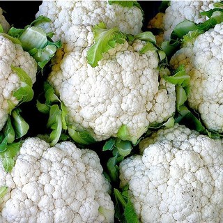 เมล็ดพันธุ์ กะหล่ำดอก 200 เมล็ด Cauliflower seed เมล็ดพันธุ์แท้ นำเข้าจากต่างประเทศ ปลูกผัก สวนครัว