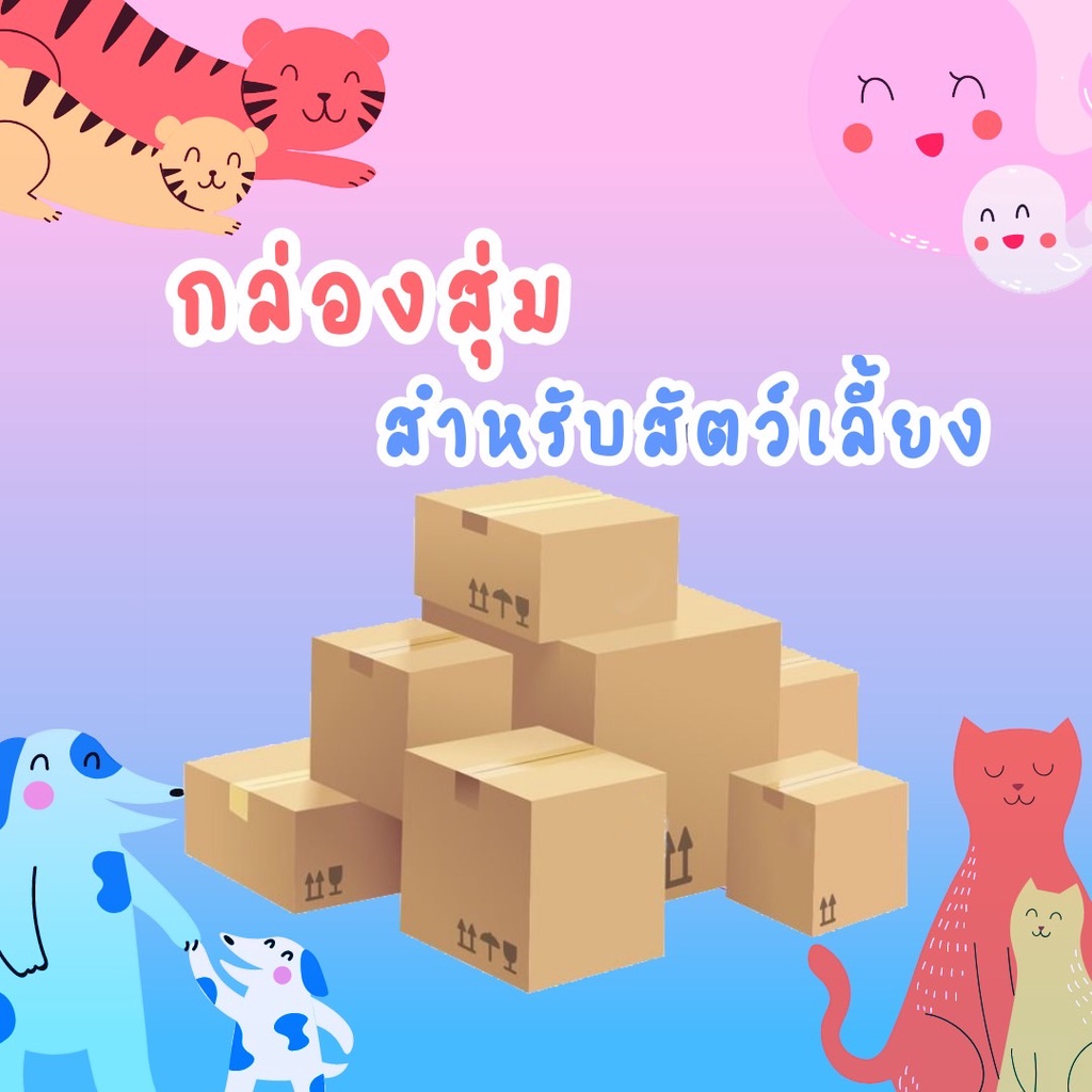 PEKO PET&amp;CAT กล่องสุ่มของสัตว์เลี้ยง สุดคุ้ม Unbox จัดหนักจัดเต็ม!! กล่องสุ่มแมว กล่องสุ่มสุนัข รับประกันความคุ้มค่า