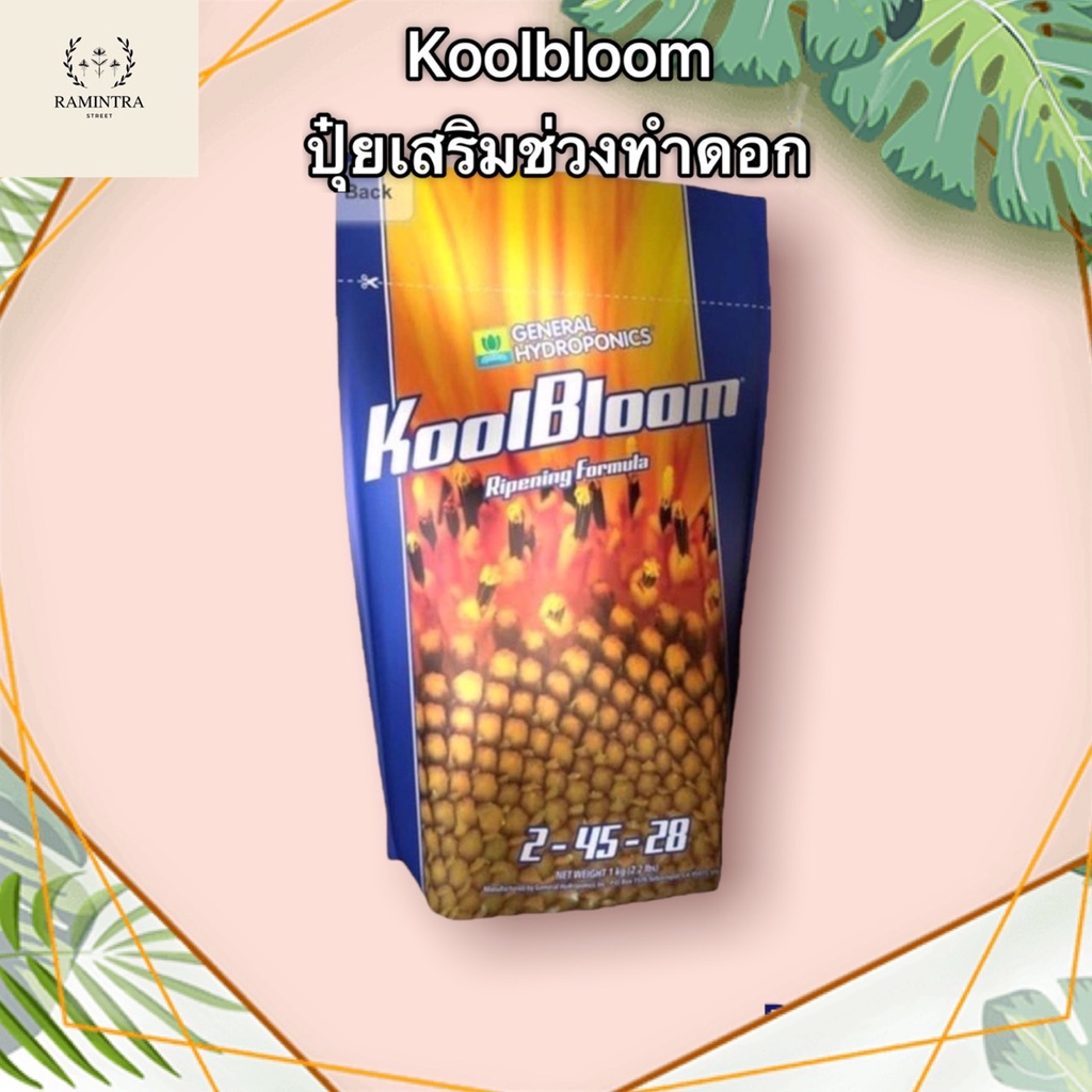[พร้อมส่ง]General Hydroponics KoolBloom 2-45-28 ปุ๋ยผงละลายสำหรับช่วงทำดอกและผลโดยเฉพาะ[ขนาดแบ่งขาย 