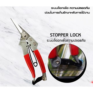 กรรไกรตัดกิ่งปากตรง / กรรไกร / สแตนเลส 7 นิ้ว SOLEX รุ่น 155ss  / กรรไกรตัดกิ่งไม้ / สแตนเลด ( Pruning Shear ) / กรรไกร