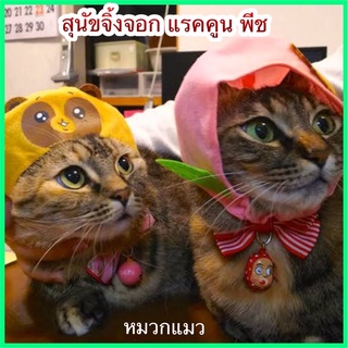 Cat Headgear Fox and Raccon๏มีสินค้าพร้อมส่ง๏