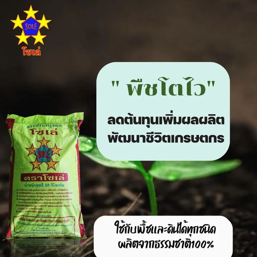 สารปรับปรุงดิน ปุ๋ยโซเล่ ต้านทานโรคและแมลง บำรุงต้นให้แข็งแรง โตไว แบ่งขายจ้า