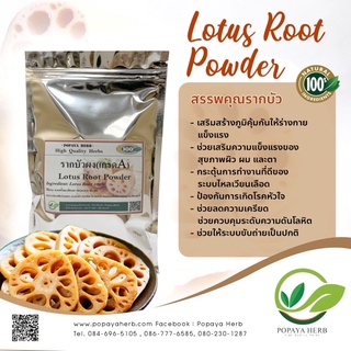 รากบัวบดผง เกรดA Lotus Root100% Powder 100g.