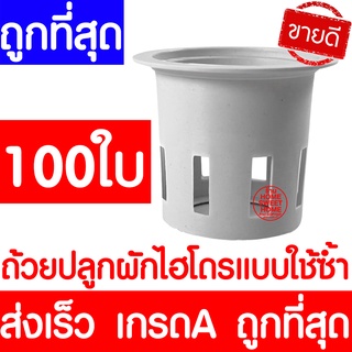 *clearance* ส่งไวมาก ถ้วยปลูกผัก 100ใบ ถ้วยขาวปลูกผัก ไฮโดรโปนิกส์ ไฮโดร hydroponic hydro แบบใช้ซ้ำ ค่าส่งถูก