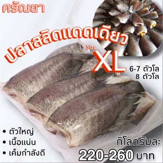 ปลาสลิดแดดเดียวตัวใหญ่ XL  ขนาด 6-7-8 ตัวโล (1Kg.) จากจ.อยุธยา ปลาสลิดตัวใหญ่ไซส์ XL