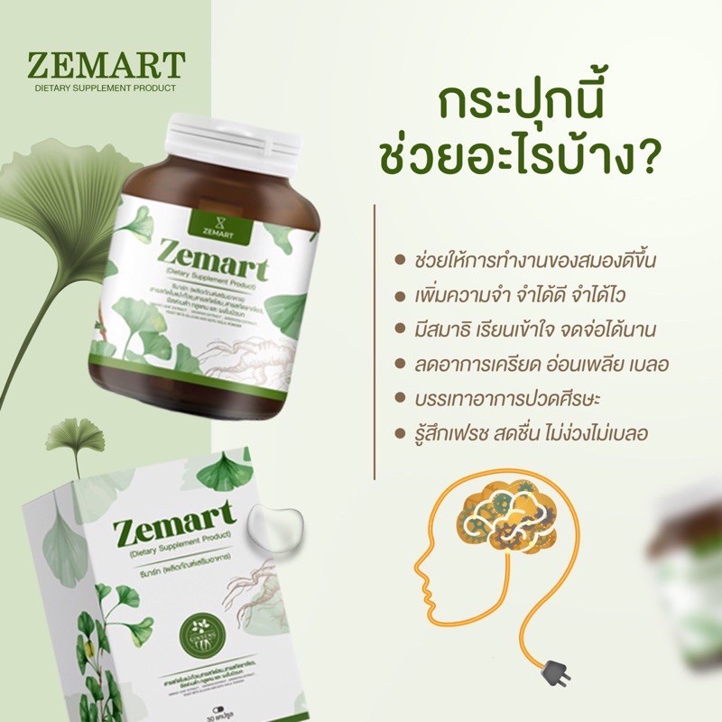 Zemart อาหารเสริมบำรุงสมอง ช่วยจำไว