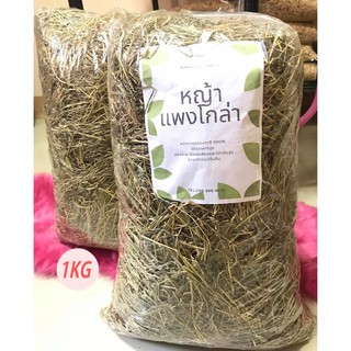 หญ้าแพงโกล่าสำหรับสัตว์เลี้ยง ( 1กิโลกรัม ) หญ้าใหม่หอมๆไม่ค้างสต๊อก ไม่มีฝุ่นจ้า