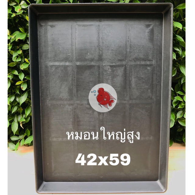 ถาด ถาดรองกรง ถาดพลาสติก สุนัข แมว นก หมอนใหญ่สูง ขนาด 42x59ซม. ทำจากพลาสติกแข็งอย่างดี สีดำ ล้างทำความสะอาดง่าย ทนทาน