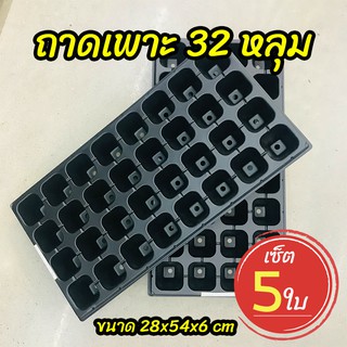 ถาดเพาะ 32 หลุม ถาดเพาะชำ ถาดเพาะกล้า ถาดเพาะเมล็ด เซ็ต 5 ใบ (Seed Tray)