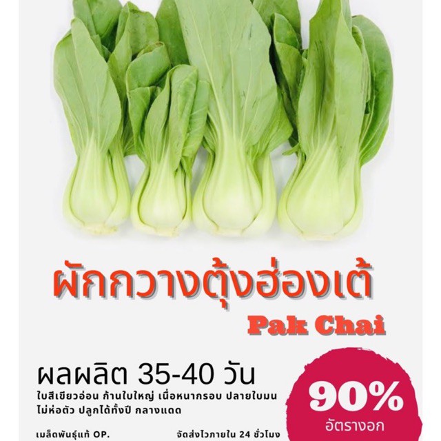 เมล็ดพันธุ์ ผักกวางตุ้งฮ่องเต้ 1500 เมล็ด ผักกาดฮ่องเต้ Chinese Cabbage ผักกวางตุ้ง ราคาถูก ปลูกง่าย 10แถม1 คละได้