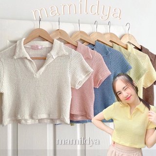 🧺เสื้อครอปคอปก✨ผ้านิ่ม แต่งคอวี / ★ Wila BV