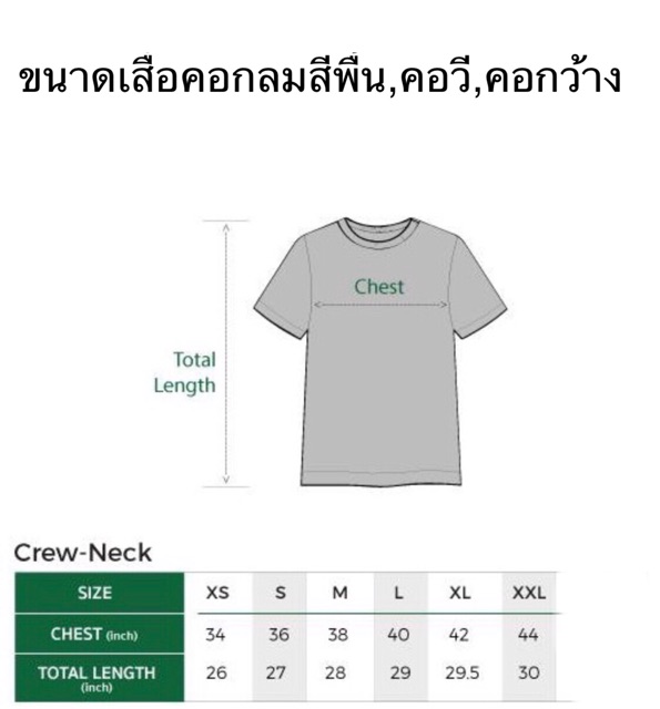 ห่านคู่ [16สี]❗️เสื้อยืดคอกลมสีพื้น L(40)-XXL(44)นิ้ว รุ่นดั้งเดิม60ปี Cotton 100 ของแท้🚩