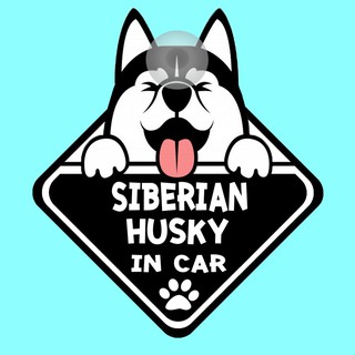 ป้ายติดรถยนต์ DIC43 จุ๊บติดกระจก DOG IN CAR ❤ Siberian Husky ❤ ป้ายติดกระจก ป้าย สติ๊กเกอร์