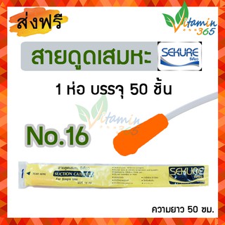 (เบอร์ 16) SEKURE สายดูดเสมหะ Suction Catheter ห่อบรรจุ 50 เส้น