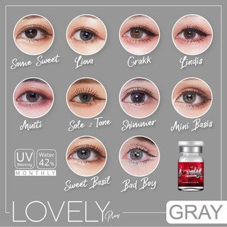 💟 รวมลายขายดี Lovely lens set 2  gray brown Contactlens  บิ๊กอาย คอนแทคเลนส์ ราคาถูก แถมตลับฟรี