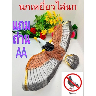 นกเหยี่ยวไล่นก!!ฟรีแถมถ่านAA