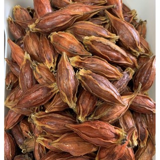 เม็ดเก็กฮวย/เม็ดพุด/จุ่ยกี่จี้  500กรัม黄栀子