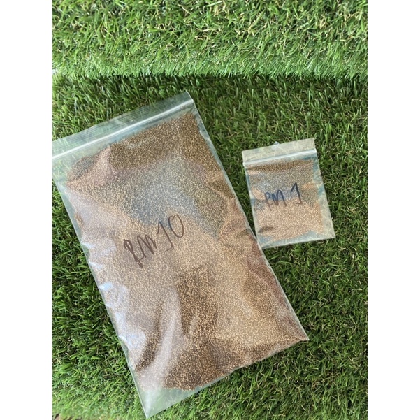อาหาร LAGA FISH PELLET (SEAMASTER)