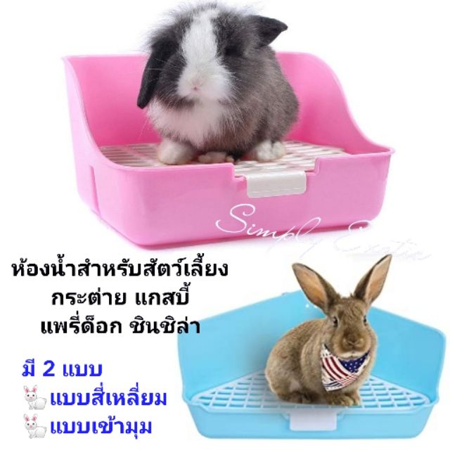 ห้องน้ำกระต่าย ห้องน้ำกระต่ายสี่เหลี่ยม ห้องน้ำกระต่ายเข้ามุม ห้องน้ำแกสบี้ ห้องน้ำแพรี่ด็อก ห้องน้ำชินชิล่า – โปรปัง