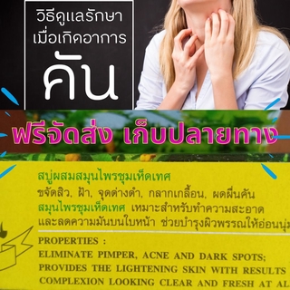 เก็บปลายทาง สบู่ชุมเห็ดเทศ สบู่สมุนไพร สบู่แก้คัน ผดพื่น สบู่แก้แพ้เหงื่อ  สบู่แก้เชื้อรา แบคทีเรีย  สบู่แก้โรคผิวหนัง