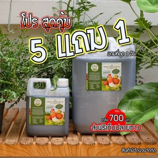 5 ลิตร แถม 1 ลิตร #ส่งฟรี🔥 ลิตรละ115 น้ำหมักมูลไก่หมักข้ามปี