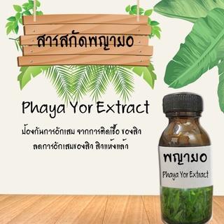 สารสกัด พญายอ สารสกัดบำรุงผิวหน้าและผิวกาย ขนาด30ml (น้นรักษาสิว) รหัสสินค้า: 001800