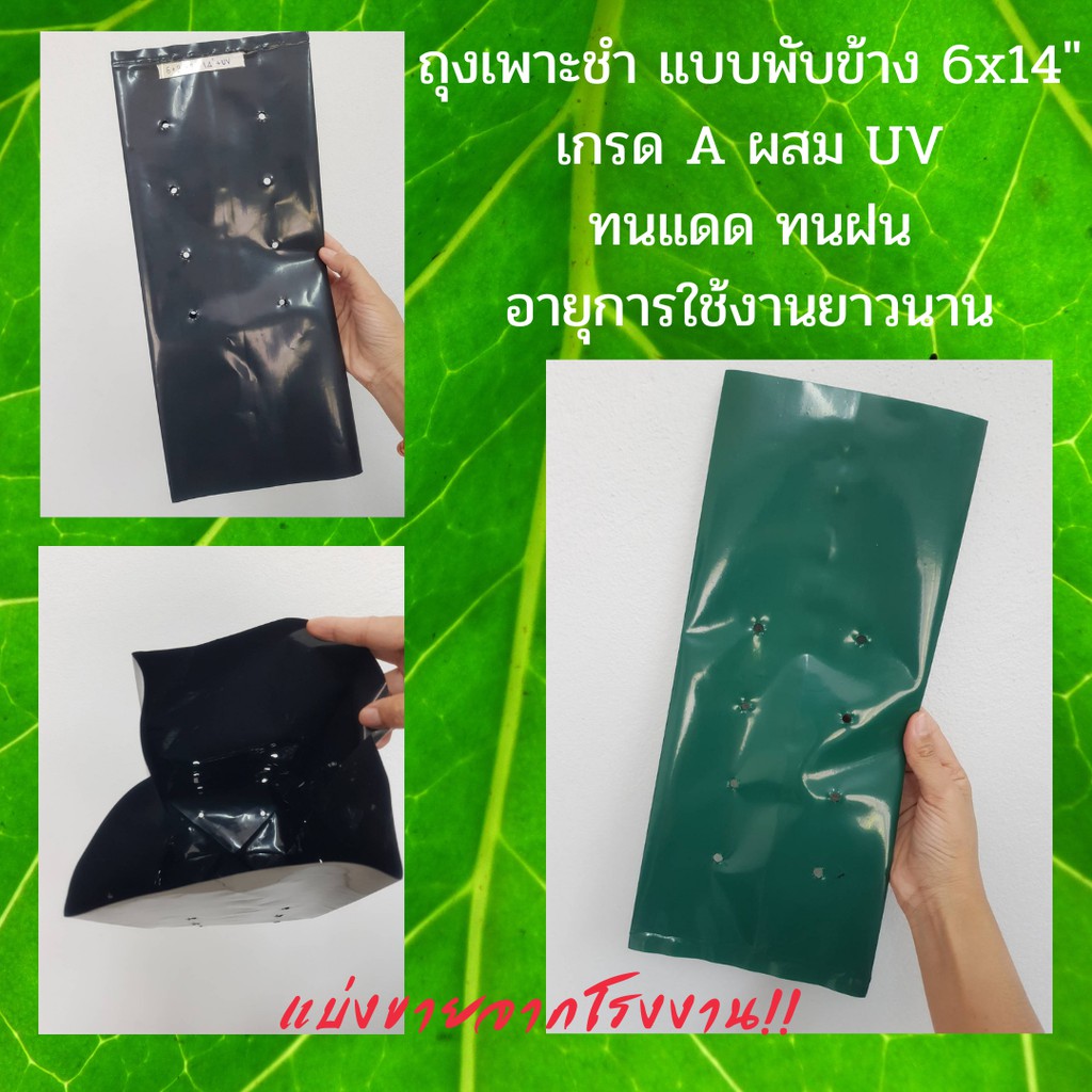 ถุงเพาะชำ แบบพับข้าง เกรด A ขนาด 6"x14" (1 กิโลกรัม) สีดำ / สีเขียว ทนแดดนาน 3 ปี!!